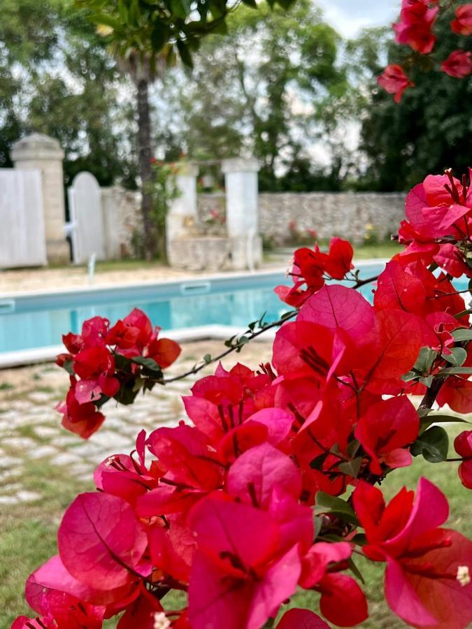 Villa Encantamiento - Dimora Gelsomino - Masseria Storica Nel Cuore Della Puglia Con Piscina Latiano Buitenkant foto